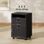 Savka 1 Drawer Filing Cabinet