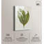 Impression sur toile «Aged Botanica I Botanical Decor» par Art Remedy-120032344