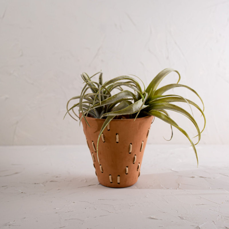 Handmade Pot Planter
