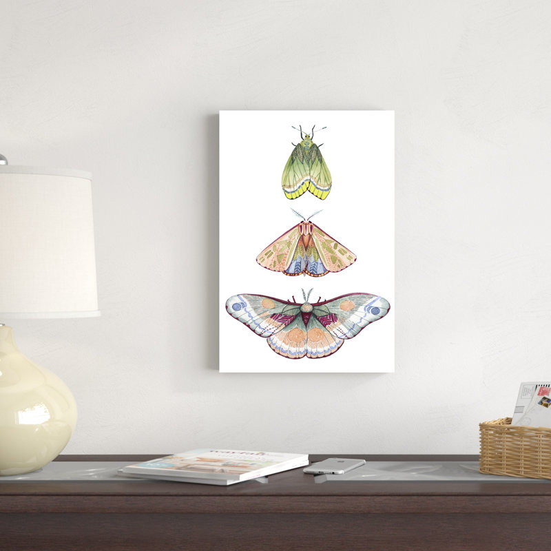 Moth Fairies II, H 18 po x l 12 po x P 1,25 po