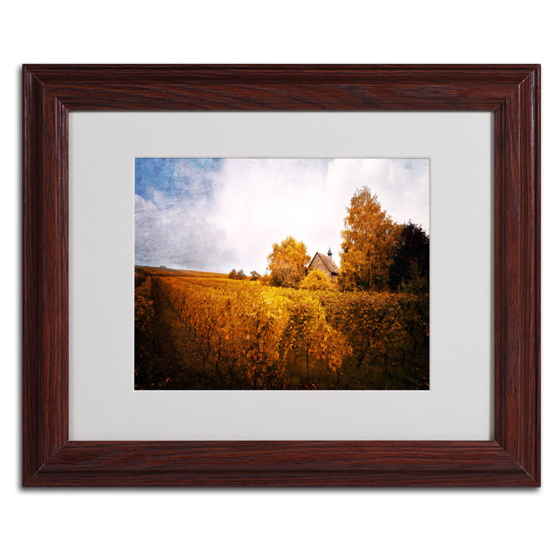 « light in vignobles », reproduction de photo sur toile encadrée, H 11 po x l 14 po x P 0,5 po, Brun