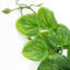 35cm Faux Plant in Pot Liner-1618647824