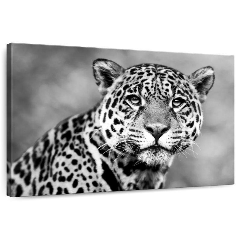 Brampt Monochromatic Jaguar, 34" H x 51" W