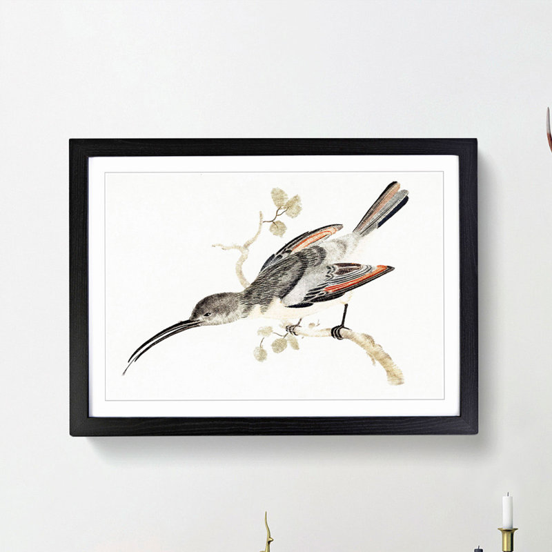 Hummingbird by Johan Teyler - Picture Frame Painting Print, 36cm H x 48cm W x 2cm D, Black Framed