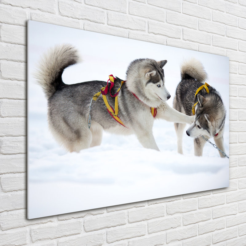 Husky In The Winter - No Frame Print, Glass, 70cm H x 100cm W x 4cm D