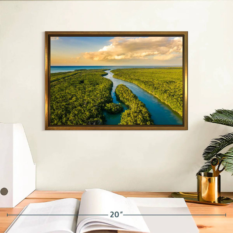 Parc national des Everglades, Cadre flottant doré, 13 po x 9 po