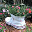 Statue de jardin grenouille crapaud-1458654447-1458654450