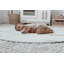 Round Ofie Foam Playmat