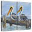 Bramic Pelicans On Deck-109097249
