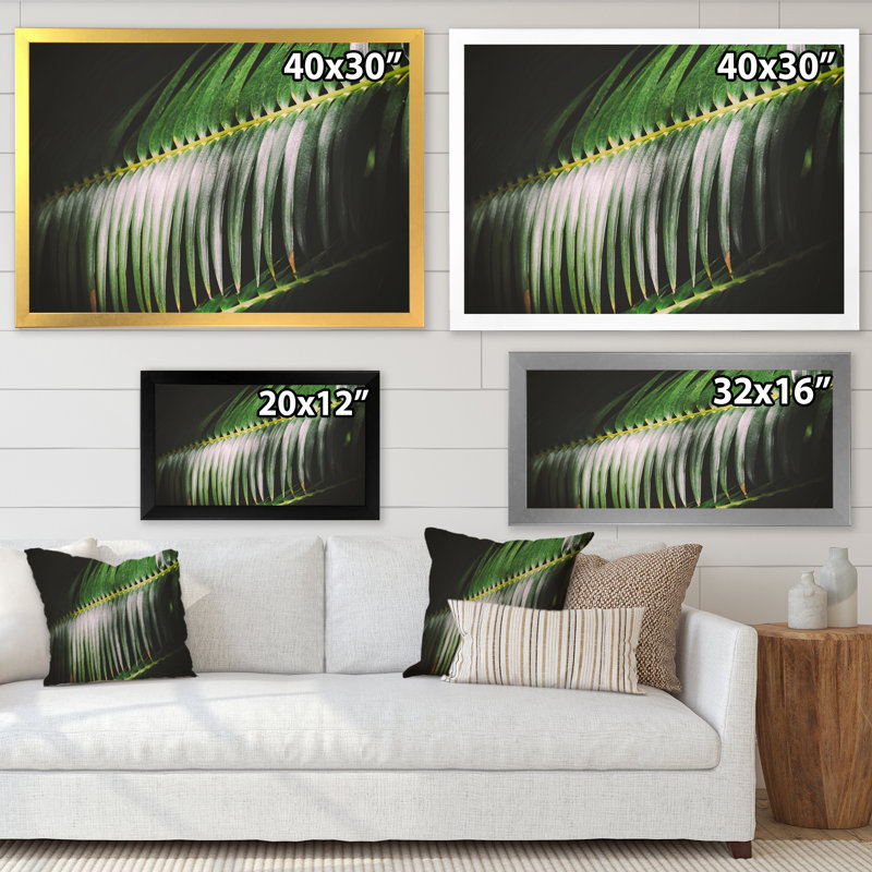 Détail de feuilles de palmier foncé - photographie sur toile, Cadre doré à coins fermés, H 30 po x l 40 po