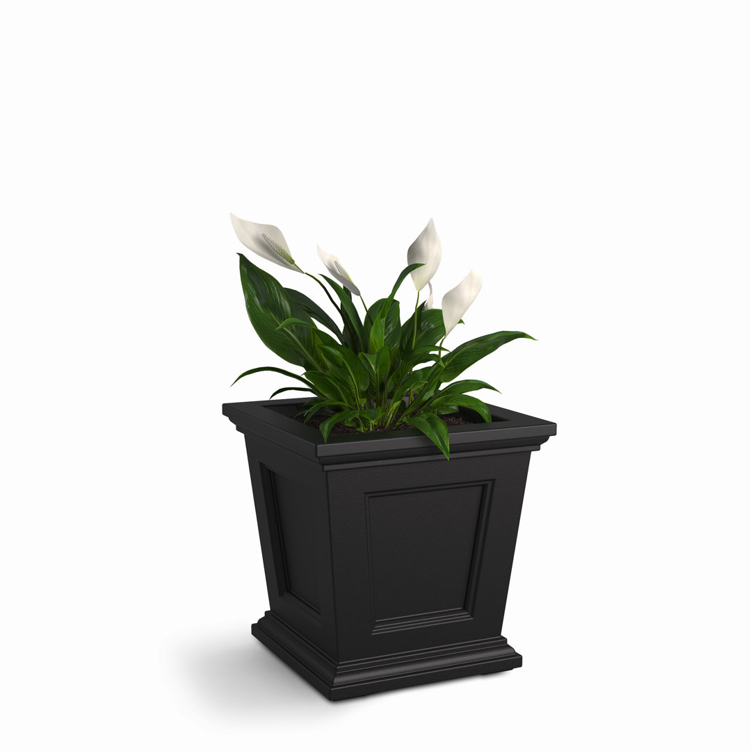 Anastassia Self-Watering Plastic Planter Box Winston Porter