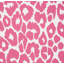 Iconic Leopard Wallpaper-69259195