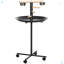 Bird Play Stand, Portable Parrot Perch, Bird Feeder Station