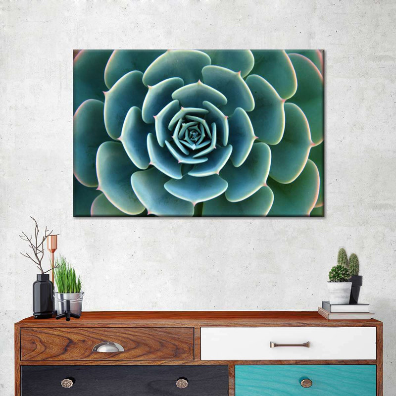 «Live Succulent», reproduction sur toile, H 16 po x l 24 po x P 1,25 po