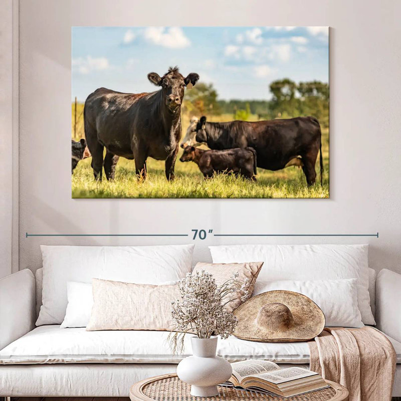 Brampt Grazing Angus Cows, 34" H x 51" W