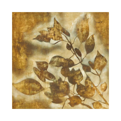Organic Harmony II by Randy Hibberd - Wrapped Canvas Print