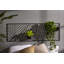 Aesthetic Trellis