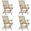 Bathgate Folding Patio Dining Armchair