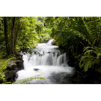 Tropical Waterfall by Digitaldawn - Wrapped Canvas Print