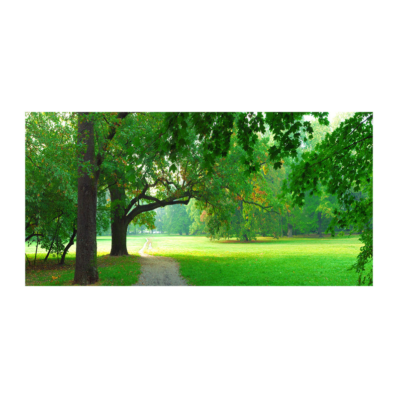 Park In The Fall - No Frame Print on Canvas