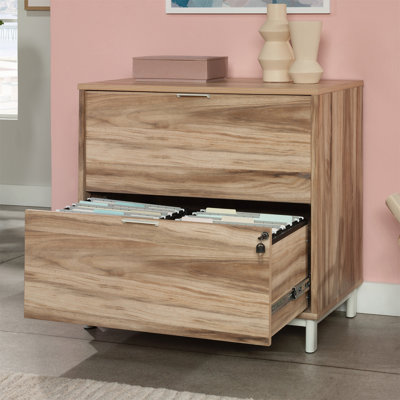 Bonilla 30.35'' Wide 2 -Drawer File Cabinet