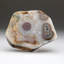 Blue Banded Agate Slice
