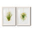 «Hanging Airplant II», ensemble de 2 impressions-446387496-487734114