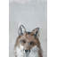 Bonjour Fox by Julia Posokhova - Wrapped Canvas Painting-408864707