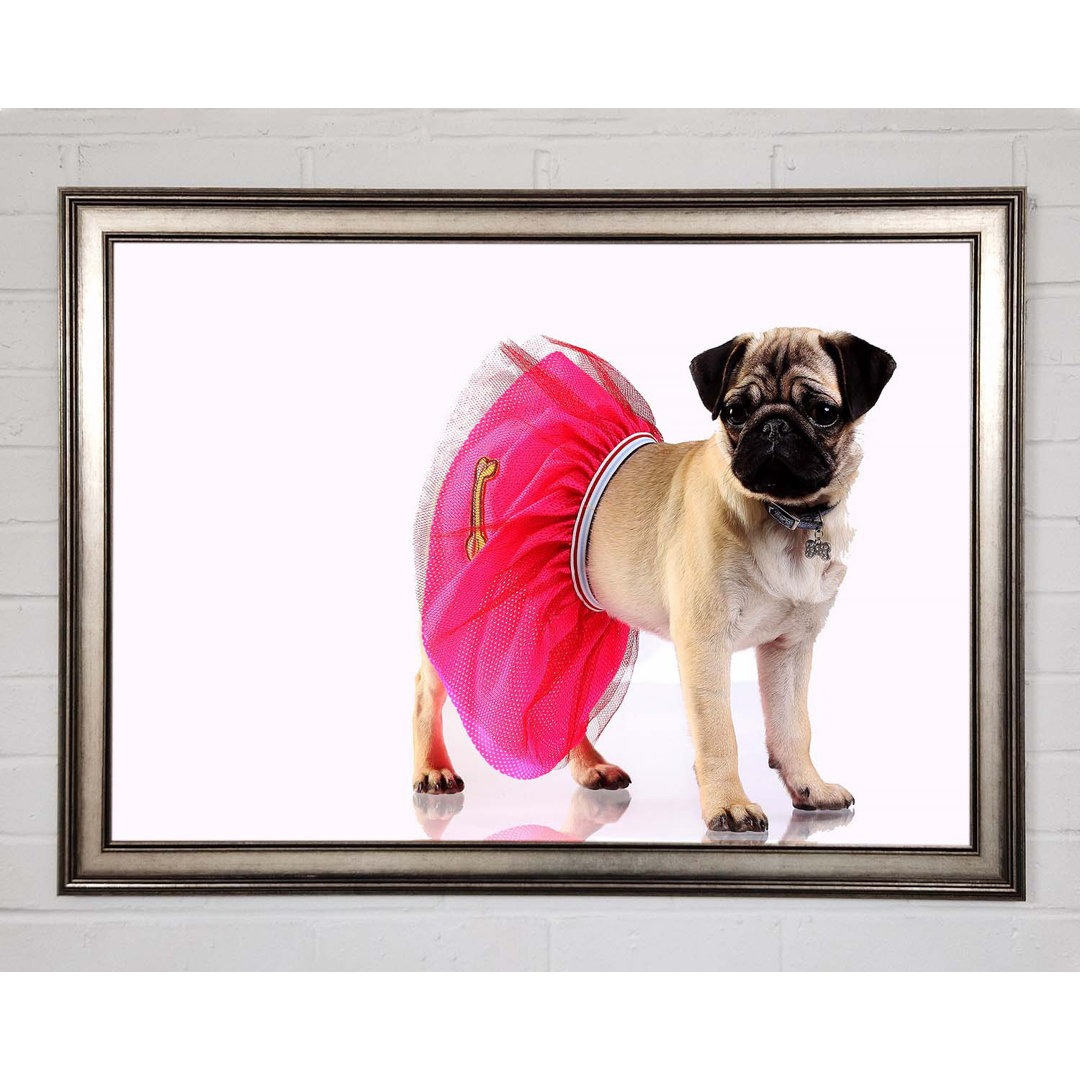 Mops Hund Tutu - Einzelner Bilderrahmen Kunstdrucke