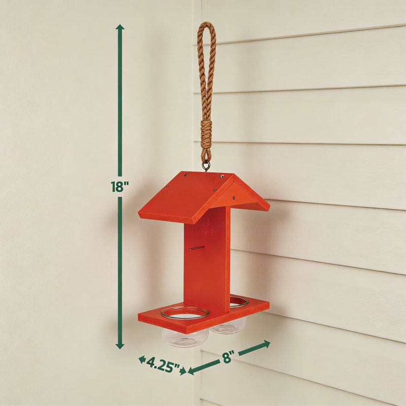 Mangeoire pour oiseaux Oriole
