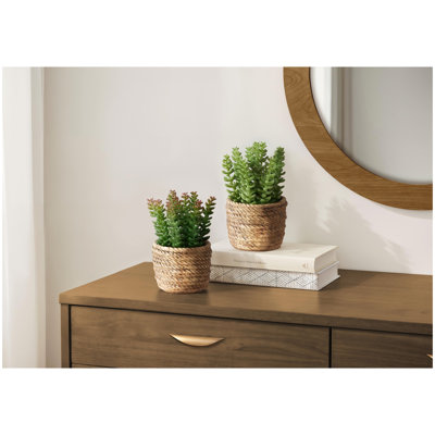 Plante artificielle, ensemble de 2, 7 po de hauteur, plante grasse, pots de ciment brun, contemporain, moderne