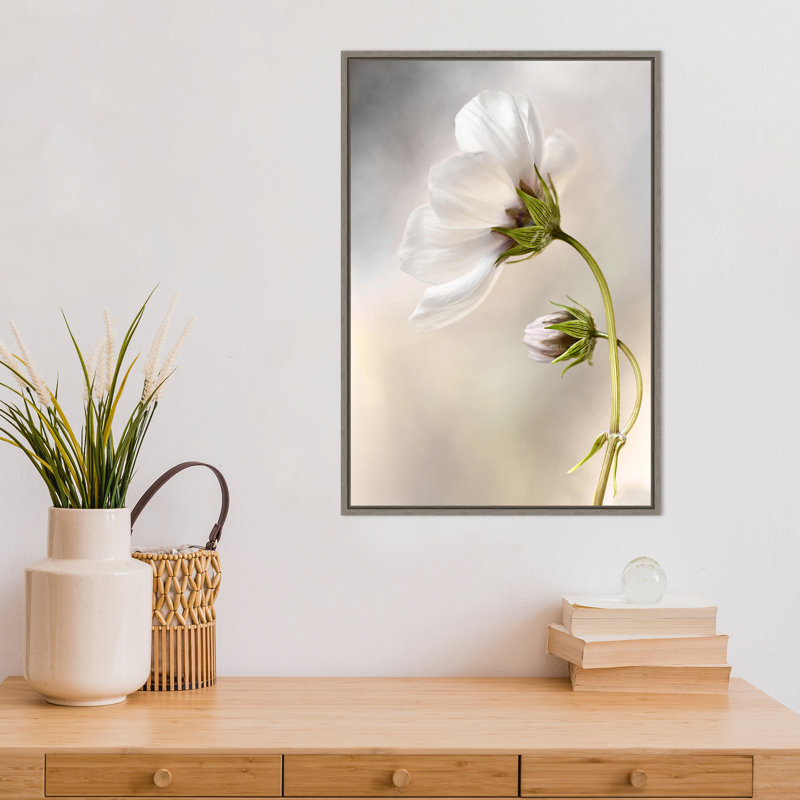 « Heavenly cosmos » par Mandy Disher-reproduction de photo sur toile encadrée
