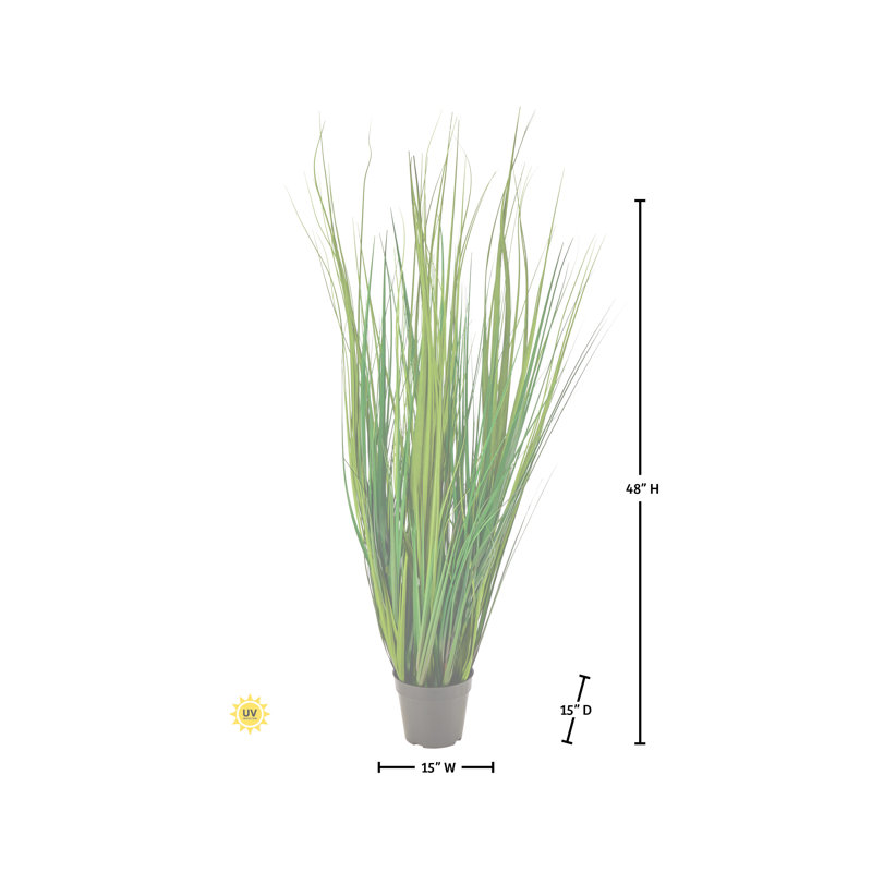 Herbe à pales UV 48 po, 48 po x 13 po