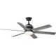 Plympt 56'' 6 Blade Ceiling Fan with LED Light Kit