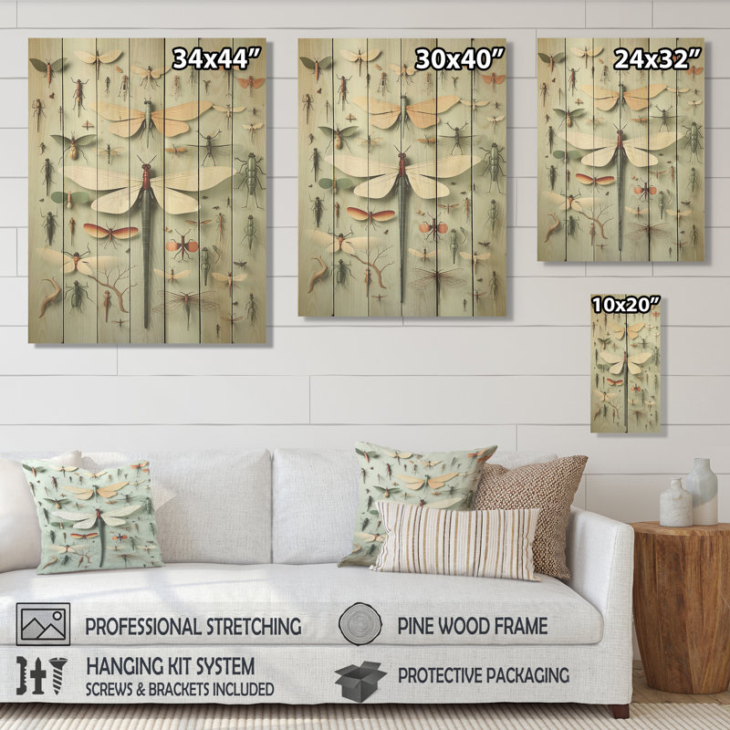 Curious Dragonflies I - Insectes et insectes sur bois, H 20 po x l 10 po