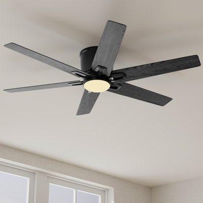 54'' Ceiling Fan with LED Lights