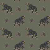Roaming Black Bear - Wallpaper