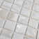 Conchella 0.75" x 0.75" Seashell Mosaic Tile