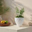 Vase Spike