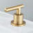 2-handle Bathroom Faucet with Drain Assembly