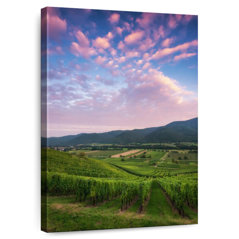 Alvord Vast Alsace Vineyard, 12" H x 8" W