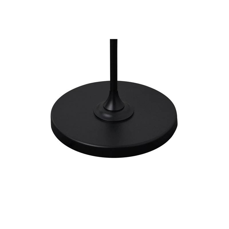 Hayllar 57'' Black Traditional Floor Lamp