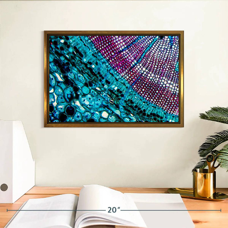 Pine Stem Under Microscope, 13" X 9", Floating Frame Gold