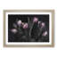 Tulip Flowers in Purple - Framed Print-55615102-55615106