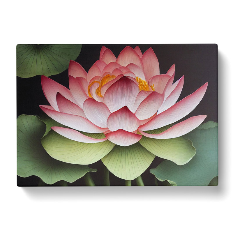 Dramatic Lotus Flower - Wrapped Canvas Print, 35cm H x 50cm W x 3cm D