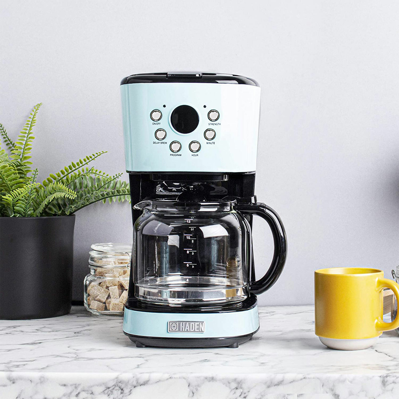 Haden 12-Cup Programmable Drip Coffee Maker, Turquoise Blue
