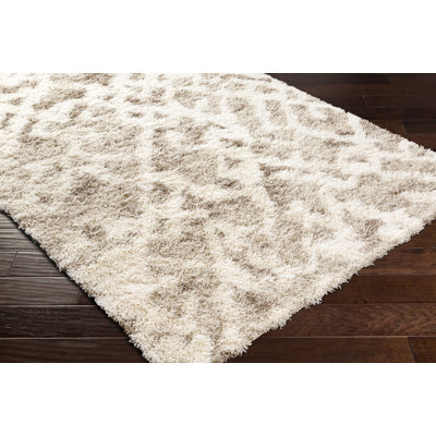 Jacodi Abstract Indoor Rug