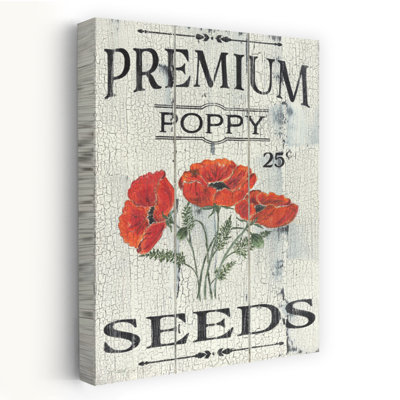 Poppy Seeds Traditional Poppy Spring Flower Art
