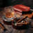 Cigar Case