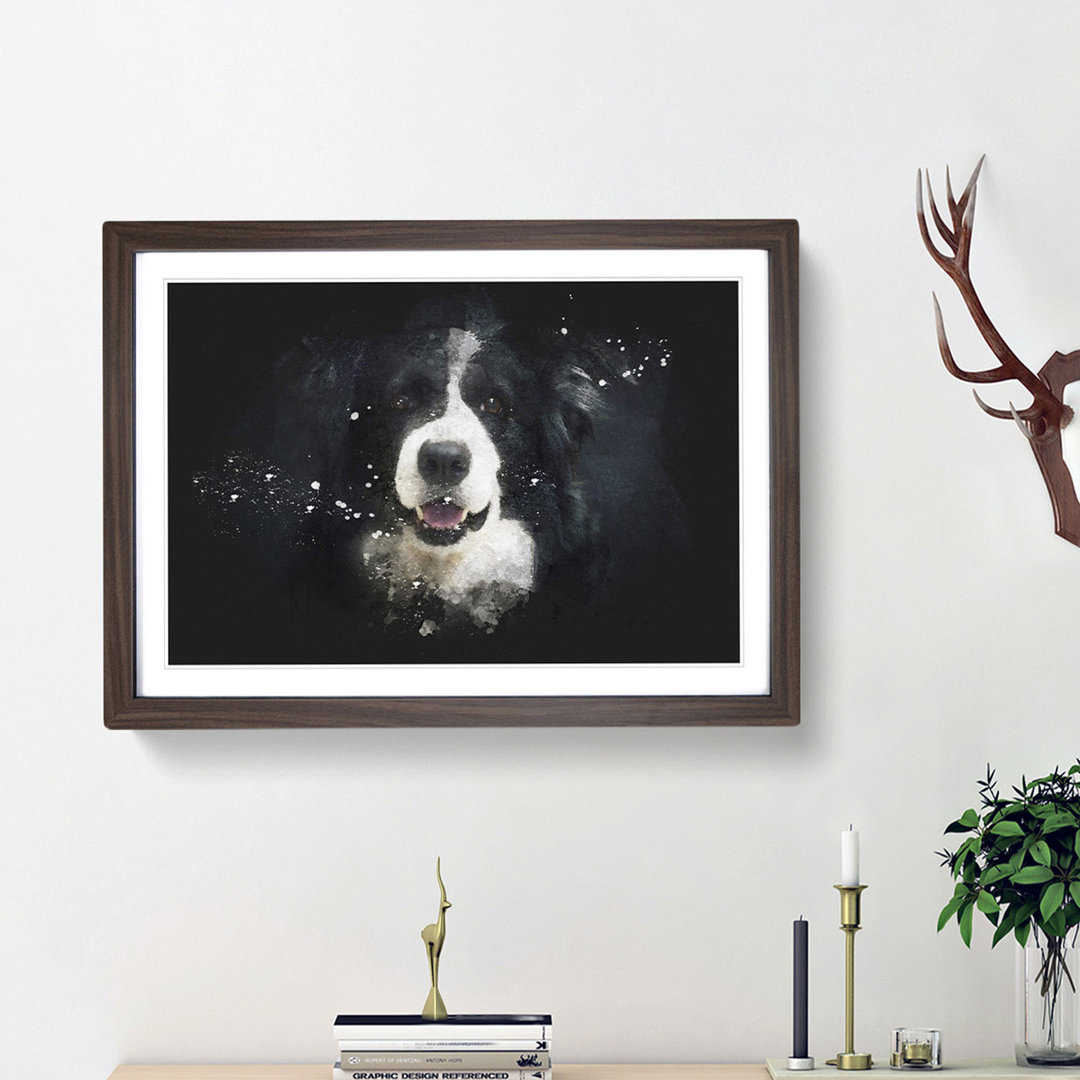 Portrait Of A Border Collie Dog - Single Picture Frame Print on MDF